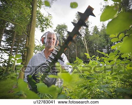 Man trimming plants in park View Large Photo Image Stock Image - Man trimming plants in park. Fotosearch