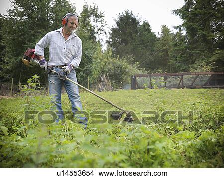 Picture - Man trimming weeds in garden. Fotosearch
