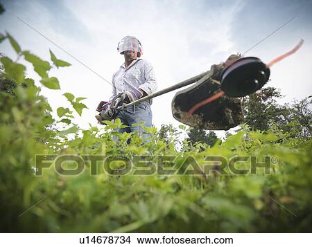 Man trimming weeds in garden View Large Photo Image Picture - Man trimming weeds in garden. Fotosearch