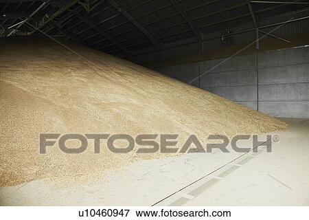 Stock Photo - Pile of grain stored in warehouse. Fotosearch