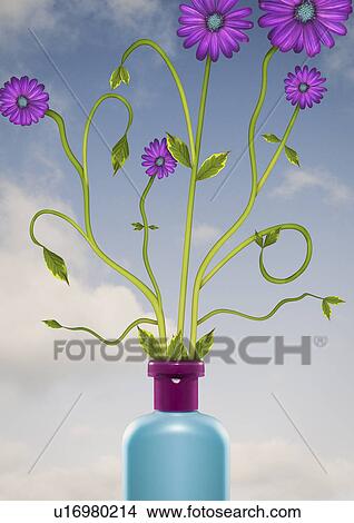 Purple flowers growing out of bottle View Large Photo Image Picture - Purple flowers growing out of bottle. Fotosearch