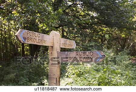 Stock Photo - Road signs on forest road. Fotosearch