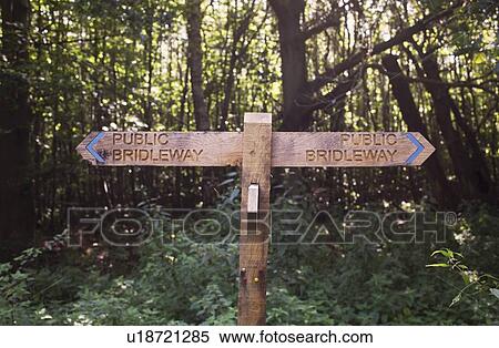 Stock Photography - Road signs on forest road. Fotosearch
