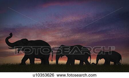 Silhouette of elephants against sky View Large Photo Image Stock Photograph - Silhouette of elephants against sky. Fotosearch