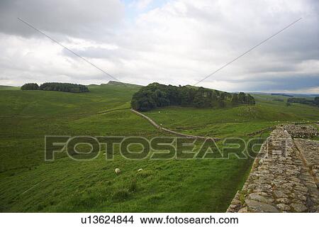 Picture - Stone walls in rural field. Fotosearch