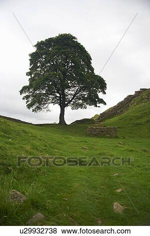 Stone well in rural field View Large Photo Image Stock Photo - Stone well in rural field. Fotosearch