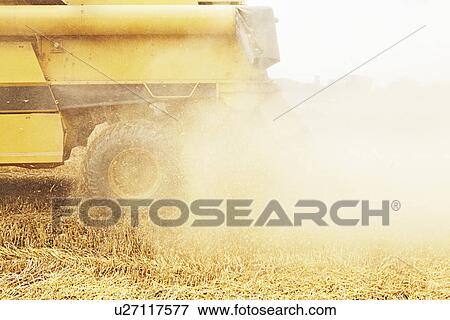 Stock Photo - Tractor harvesting grains in crop field. Fotosearch