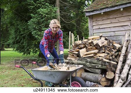 Woman loading firewood into wheelbarrow View Large Photo Image Stock Photography - Woman loading firewood into wheelbarrow. Fotosearch