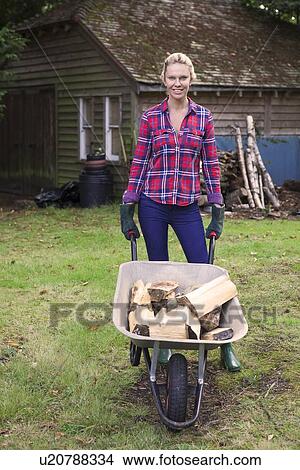 Picture - Woman pushing firewood in wheelbarrow. Fotosearch