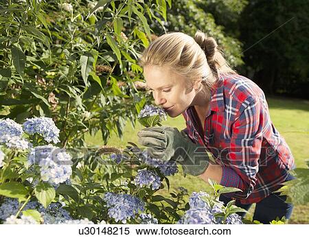 Woman smelling flowers in garden View Large Photo Image Stock Photography - Woman smelling flowers in garden. Fotosearch