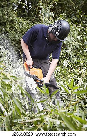 Worker using chainsaw in forest View Large Photo Image Stock Photo - Worker using chainsaw in forest. Fotosearch