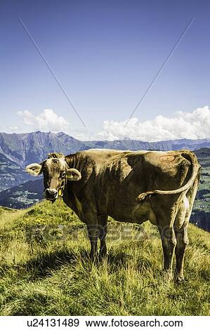Stock Photo - Aerial view of rural landscape. Fotosearch