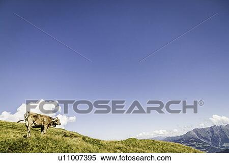 Aerial view of rural landscape View Large Photo Image Stock Photography - Aerial view of rural landscape. Fotosearch