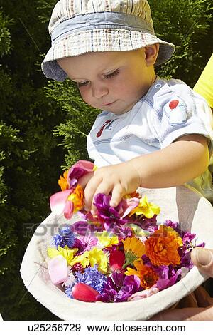 Stock Photo - Baby playing with basket of flowers. Fotosearch