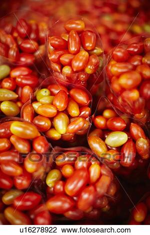 Bags of cherry tomatoes at market View Large Photo Image Stock Image - Bags of cherry tomatoes at market. Fotosearch