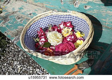 Stock Image - Basket of flowers on wooden bench. Fotosearch