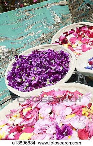 Baskets of flowers on wooden bench View Large Photo Image Picture - Baskets of flowers on wooden bench. Fotosearch