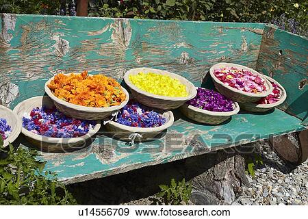 Stock Photo - Baskets of flowers on wooden bench. Fotosearch