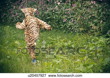 Boy wearing tiger costume outdoors View Large Photo Image Stock Photo - Boy wearing tiger costume outdoors. Fotosearch
