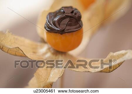 Stock Image - Chocolate on flower fruit. Fotosearch
