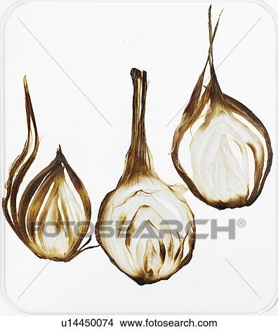 Picture - Close up of browned onions. Fotosearch