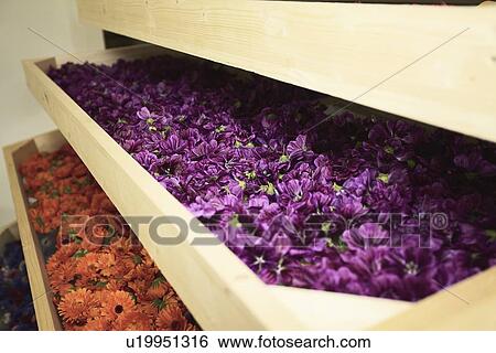 Stock Photograph - Close up of drawers of flowers. Fotosearch