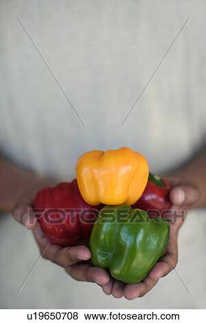 Stock Photo - Close up of hands holding bell peppers. Fotosearch