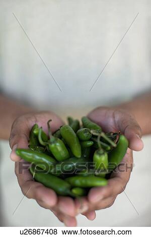 Stock Photo - Close up of hands holding chili peppers. Fotosearch