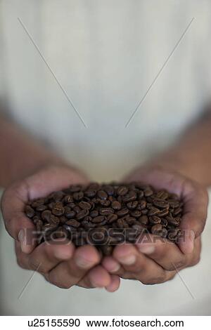 Stock Image - Close up of hands holding coffee beans. Fotosearch