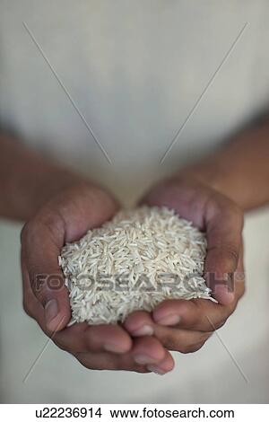 Picture - Close up of hands holding rice. Fotosearch