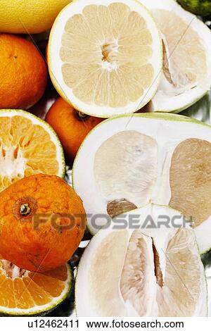 Stock Image - Close up sliced citrus fruits. Fotosearch