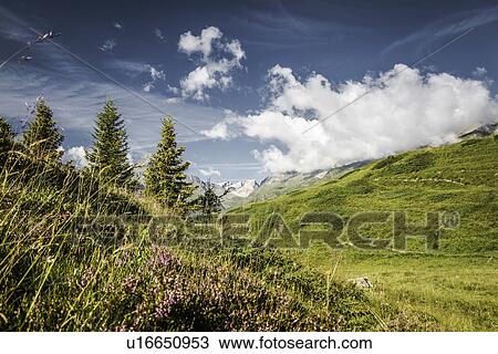 Clouds over grassy rural hillsides View Large Photo Image Stock Image - Clouds over grassy rural hillsides. Fotosearch