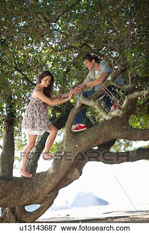 Couple climbing up a tree View Large Photo Image Stock Photo - Couple climbing up a tree . Fotosearch