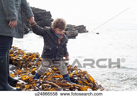 Father and son playing in kelp on beach View Large Photo Image Stock Photo - Father and son playing in kelp on beach. Fotosearch