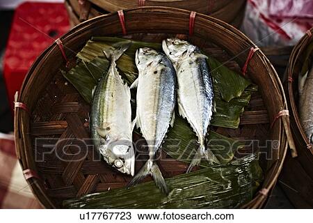 Fish for sale at market View Large Photo Image Stock Image - Fish for sale at market. Fotosearch