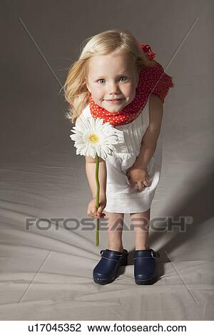Girl holding flower in studio View Large Photo Image Stock Image - Girl holding flower in studio. Fotosearch