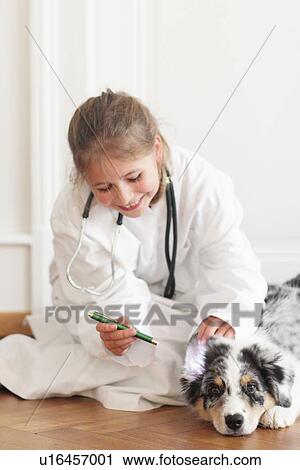 Girl playing doctor with dog View Large Photo Image Stock Image - Girl playing doctor with dog. Fotosearch