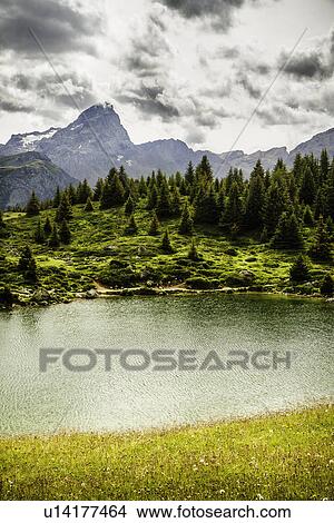 Picture - Lake in grassy rural landscape. Fotosearch