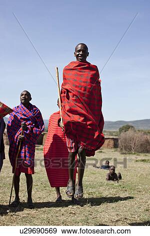 Maasai people walking in grassy field View Large Photo Image Stock Photo - Maasai people walking in grassy field. Fotosearch