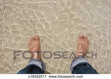 Mans feet in clear water on beach View Large Photo Image Stock Image - Mans feet in clear water on beach. Fotosearch