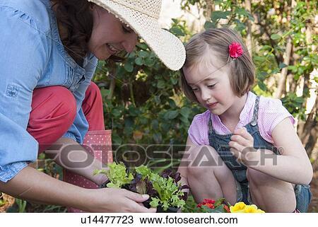 Stock Image - Mother and daughter gardening together. Fotosearch