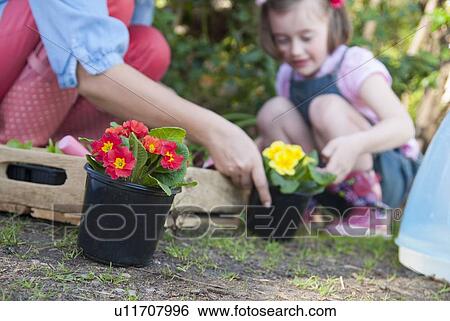 Mother and daughter gardening together View Large Photo Image Stock Photograph - Mother and daughter gardening together. Fotosearch
