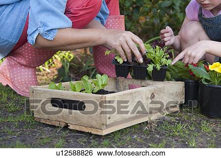 Stock Photograph - Mother and daughter gardening together. Fotosearch