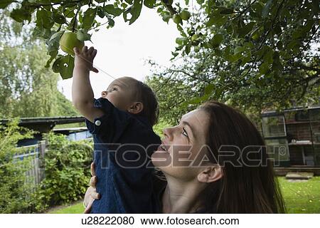 Stock Image - Mother and daughter picking fruit. Fotosearch