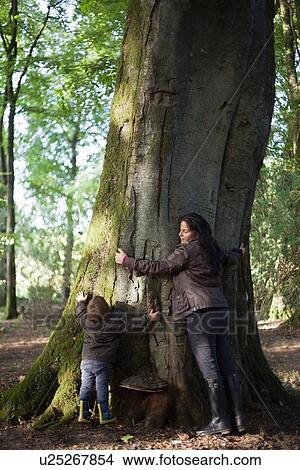 Mother and son hugging tree in forest View Large Photo Image Picture - Mother and son hugging tree in forest. Fotosearch