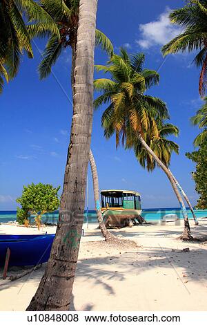 Stock Photo - Palm trees on tropical beach. Fotosearch
