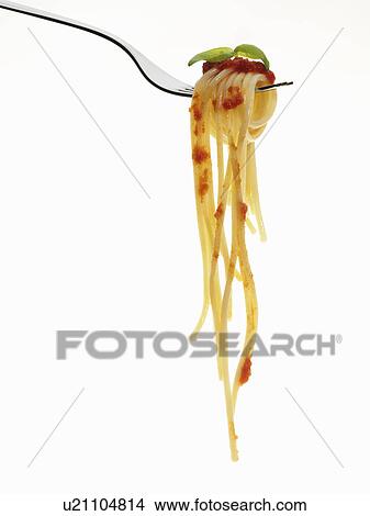 Pasta coiled on fork View Large Photo Image Picture - Pasta coiled on fork. Fotosearch