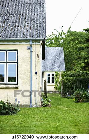 Plants growing in backyard View Large Photo Image Stock Image - Plants growing in backyard. Fotosearch
