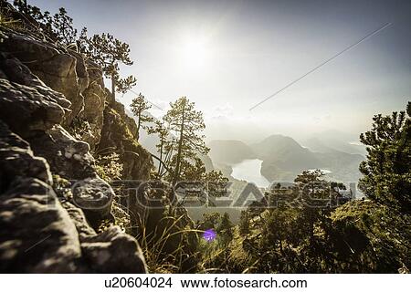 Plants growing on rocky rural hillside View Large Photo Image Picture - Plants growing on rocky rural hillside. Fotosearch