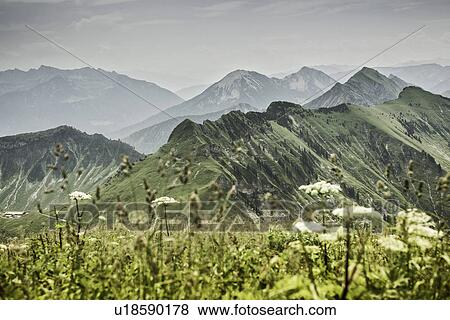 Stock Photo - Snowy mountains and grassy fields. Fotosearch